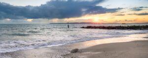 things to do in dana point