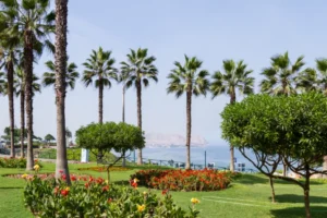 DC rehab centers outside of sd coordinate travel | Detox California