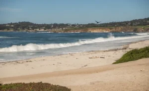 What are the best beachside rehabs on the West Coast that combine scenic coastal settings with medically supervised detox and DBT programs
