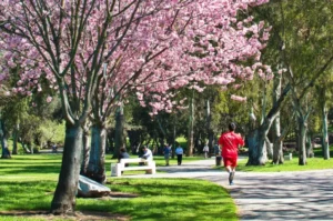 What are the best inpatient addiction treatment facilities in Orange County with scenic grounds and evidence-based therapies?